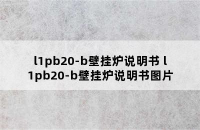 l1pb20-b壁挂炉说明书 l1pb20-b壁挂炉说明书图片